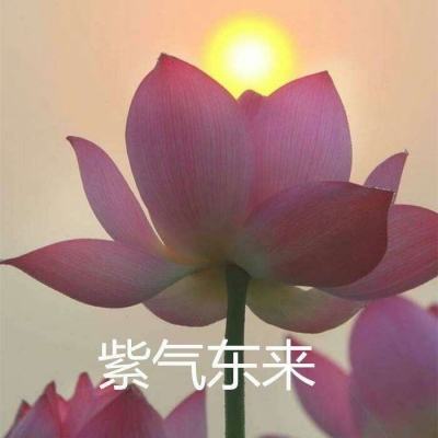 灵魂撕裂九游版下载